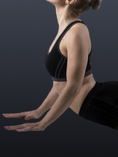 Low Cobra Stretch