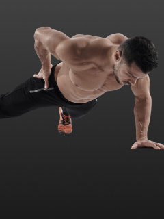 Plank Arm Raises