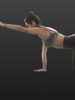 Plank Punches – Fight for Stronger Abs & Shoulders!