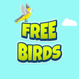 Birds in Flight