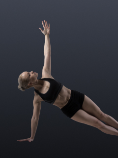 Dynamic Plank Flow