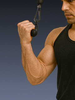 Curl Like a Pro – One Arm, One Goal: Peak Gains