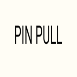 Pin Puzzle Quest