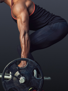 Hamstring Forge – Lying Curl Power