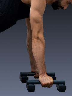 Reverse Tricep Push-Up - Sculpt Strong, Defined Arms!