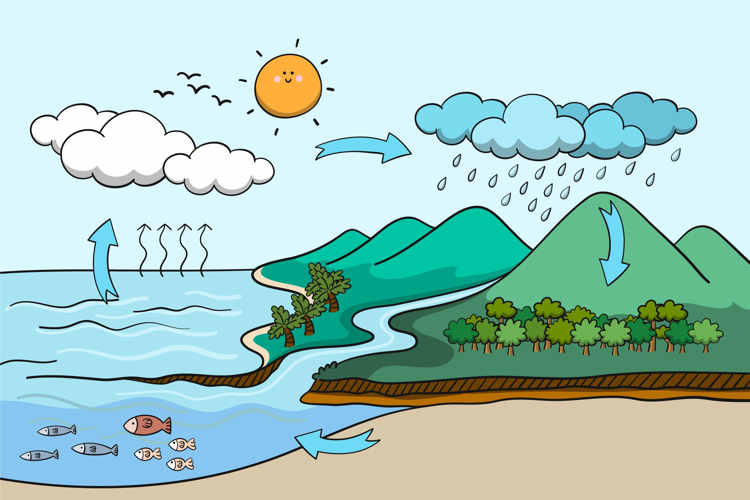 How Rain Is Made: The Water Cycle Explained