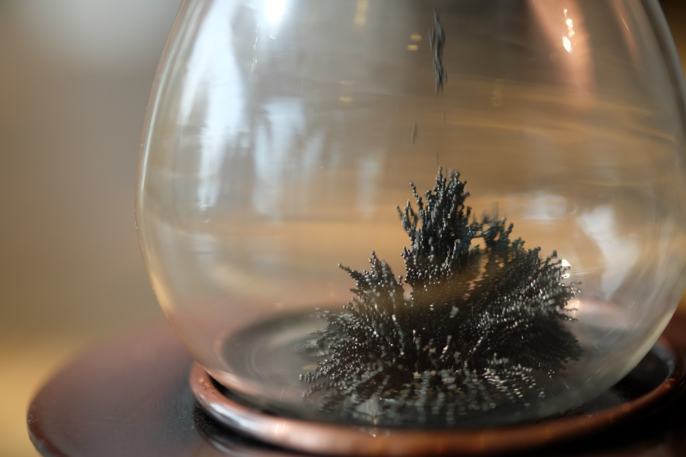 Pioneers of Physics: How Great Thinkers Unlocked the Laws of Nature