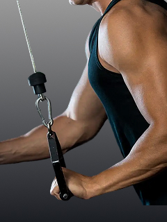 Build Defined Arms with the Reverse Grip Tricep Move