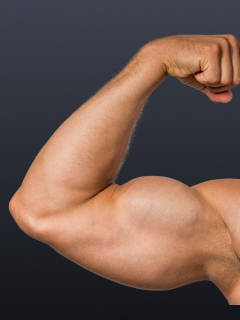 Arm Sculpt