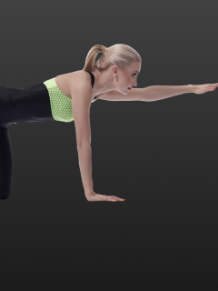 Plank punches - enhance stability and endurance