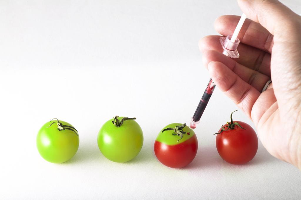 The World According to Monsanto
