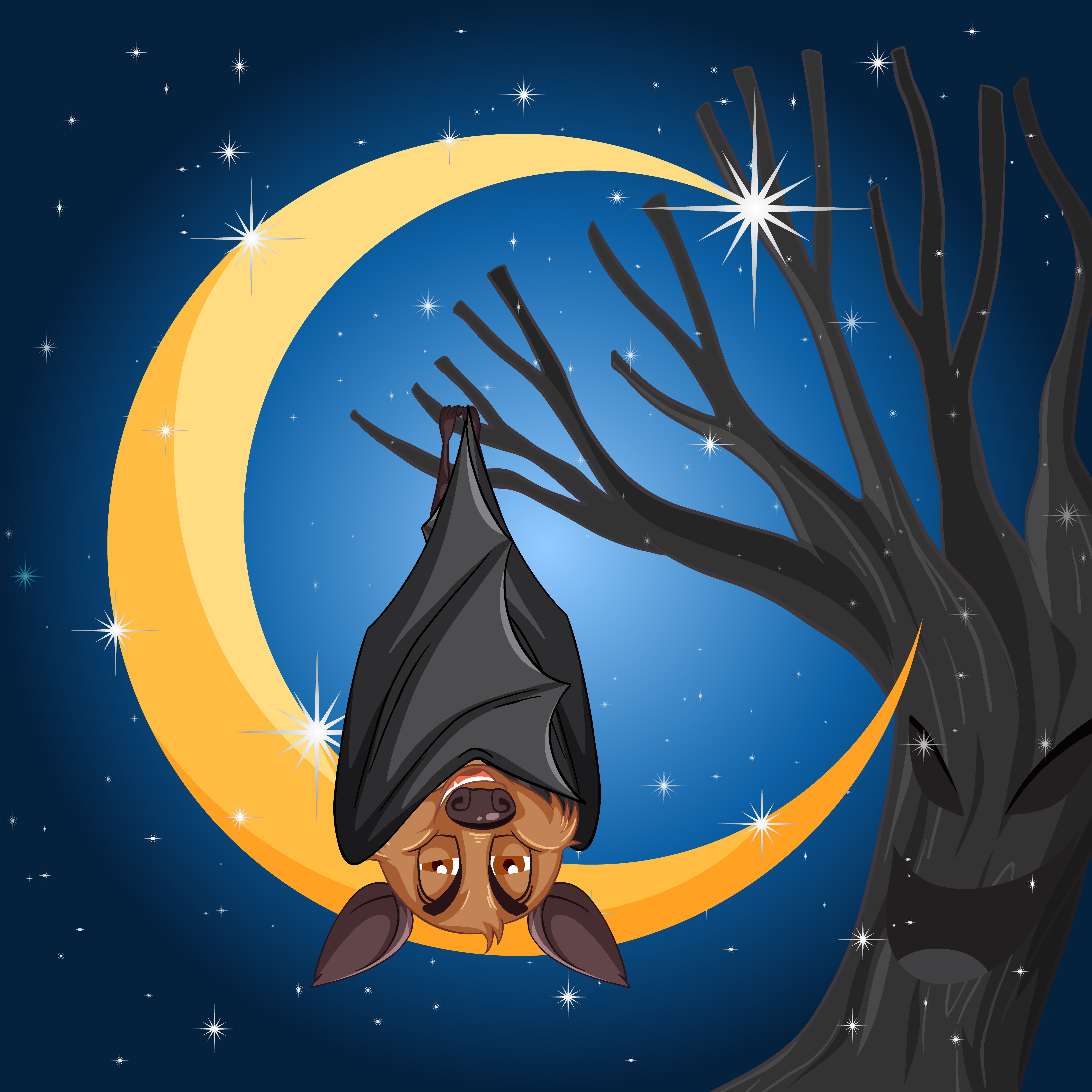 Why Do Bats Sleep Upside Down?
