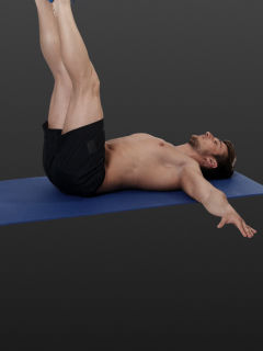 Tighten Your Core and Tone Your Obliques with Half Wipers!