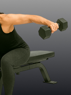 Target Your Rear Delts with the Seated Dumbbell Lateral Raise